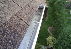 Gutter cleaning services in Calgary and Edmonton
