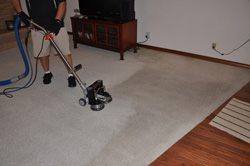 Affordable and Professional Residential Carpet Cleaning in Calgary